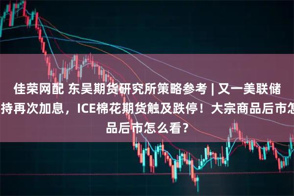 佳荣网配 东吴期货研究所策略参考 | 又一美联储鹰派支持再次加息，ICE棉花期货触及跌停！大宗商品后市怎么看？