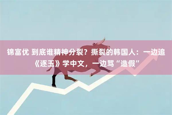 锦富优 到底谁精神分裂？撕裂的韩国人：一边追《逐玉》学中文，一边骂“造假”
