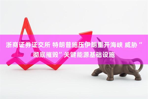 浙商证券证交所 特朗普施压伊朗重开海峡 威胁“彻底摧毁”关键能源基础设施