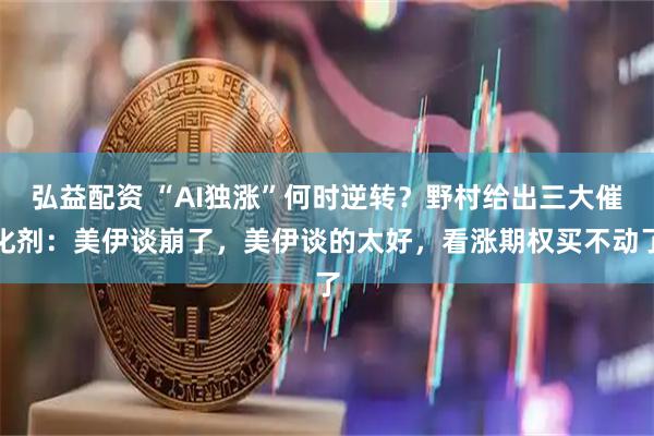 弘益配资 “AI独涨”何时逆转?野村给出三大催化剂:美伊谈崩了,美伊谈的太好,看涨期权买不动了