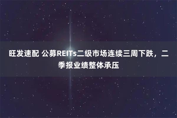 旺发速配 公募REITs二级市场连续三周下跌，二季报业绩整体承压