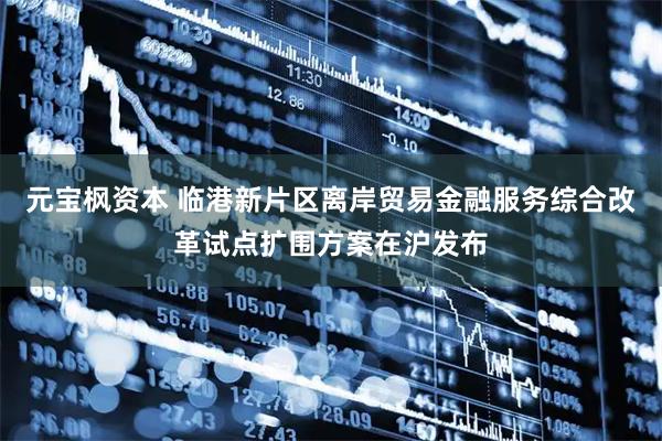 元宝枫资本 临港新片区离岸贸易金融服务综合改革试点扩围方案在沪发布