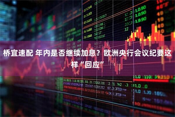 桥宜速配 年内是否继续加息？欧洲央行会议纪要这样“回应”