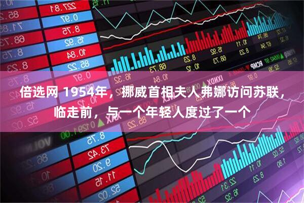 倍选网 1954年，挪威首相夫人弗娜访问苏联，临走前，与一个年轻人度过了一个