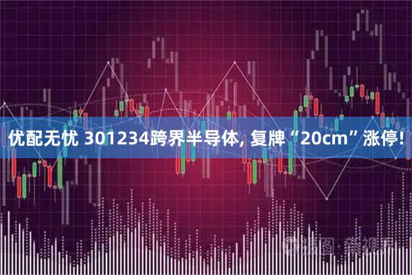 优配无忧 301234跨界半导体, 复牌“20cm”涨停!