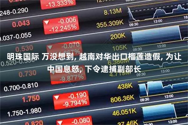 明珠国际 万没想到, 越南对华出口榴莲造假, 为让中国息怒, 下令逮捕副部长